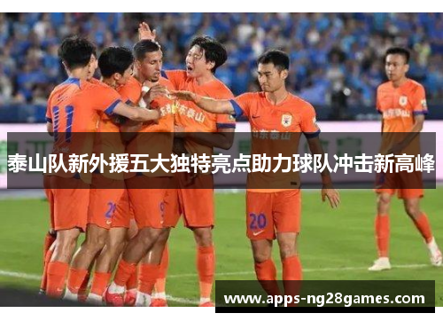 泰山队新外援五大独特亮点助力球队冲击新高峰