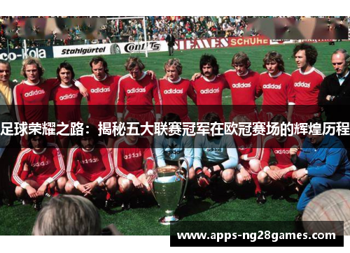 足球荣耀之路：揭秘五大联赛冠军在欧冠赛场的辉煌历程