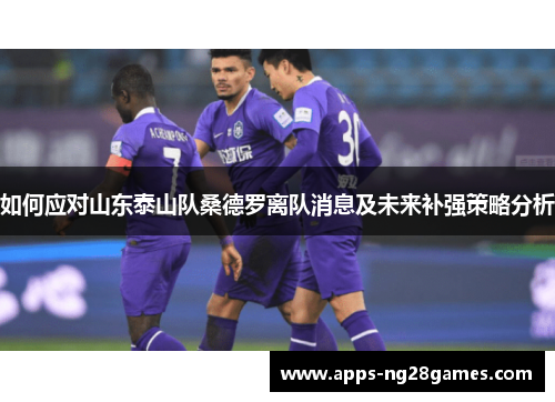 如何应对山东泰山队桑德罗离队消息及未来补强策略分析