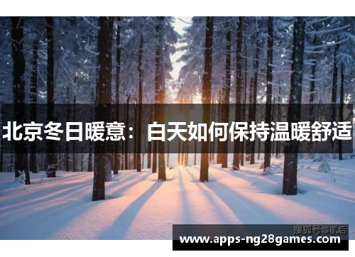北京冬日暖意：白天如何保持温暖舒适