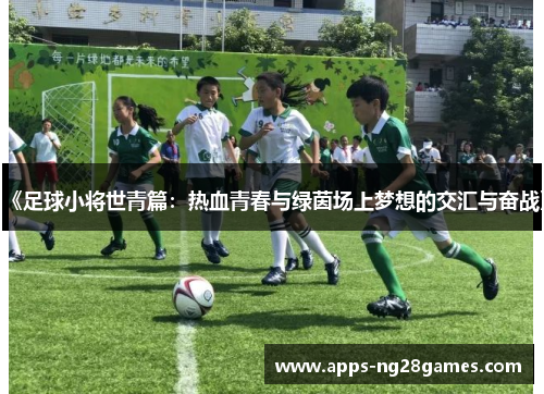 《足球小将世青篇：热血青春与绿茵场上梦想的交汇与奋战》