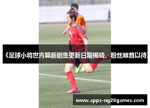 《足球小将世青篇新剧集更新日期揭晓，粉丝翘首以待》