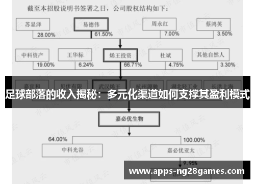 足球部落的收入揭秘：多元化渠道如何支撑其盈利模式