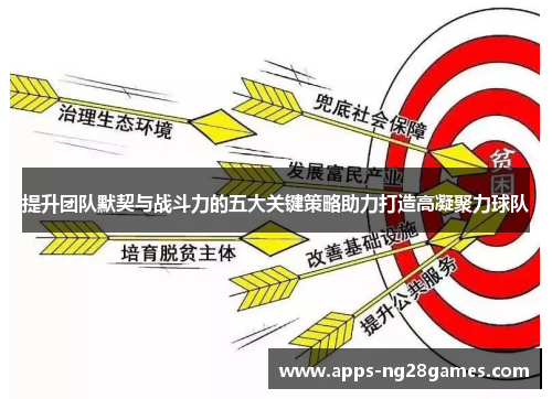 提升团队默契与战斗力的五大关键策略助力打造高凝聚力球队