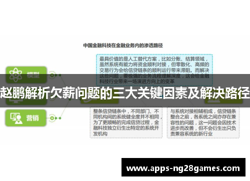 赵鹏解析欠薪问题的三大关键因素及解决路径