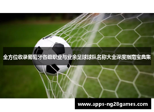 全方位收录葡萄牙各级职业与业余足球球队名称大全深度指南宝典集